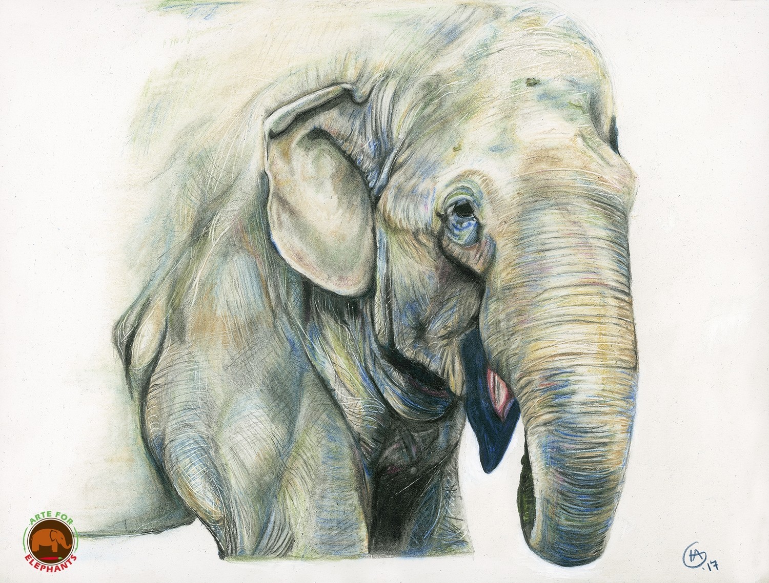 Tamy's Smile Large Fine Art Print