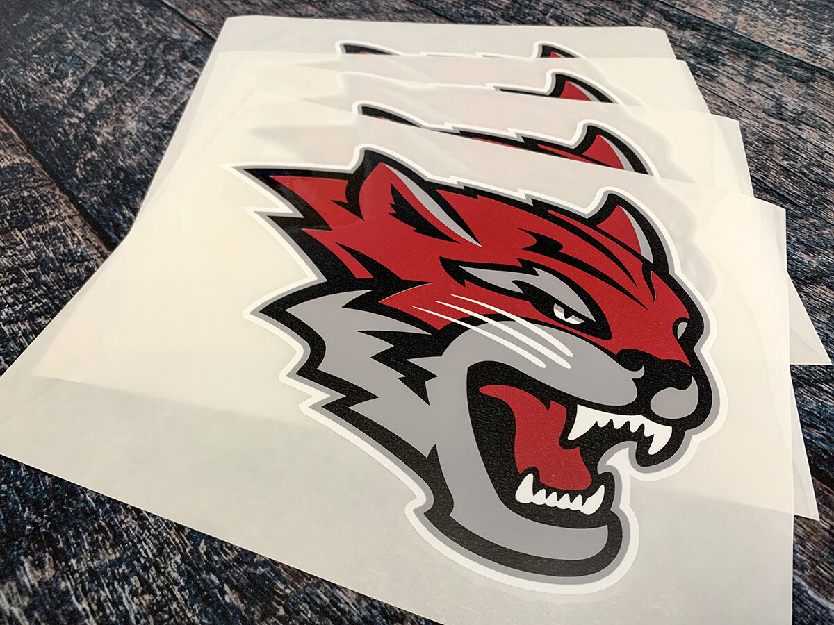 Custom Printed HTV Transfers