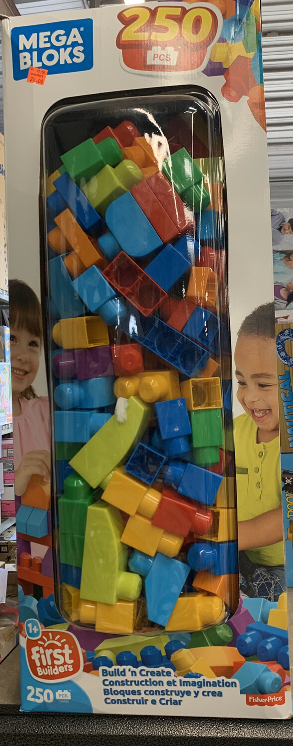 Mega Bloks 250 Piece Set