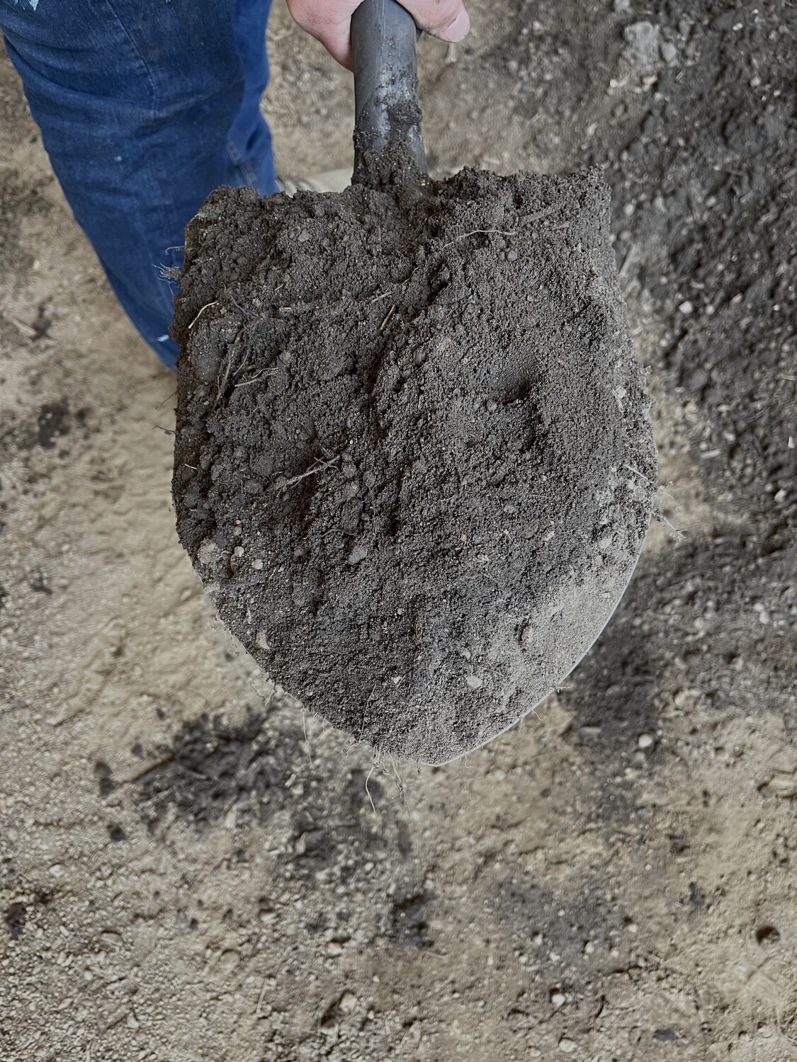 Premo Garden Blend Topsoil BY THE YARD