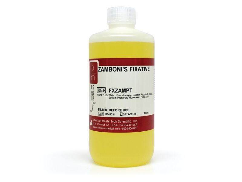 Zamboni's Fixative