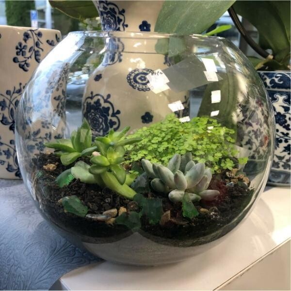 Terrarium NZ Christchurch Court Florist