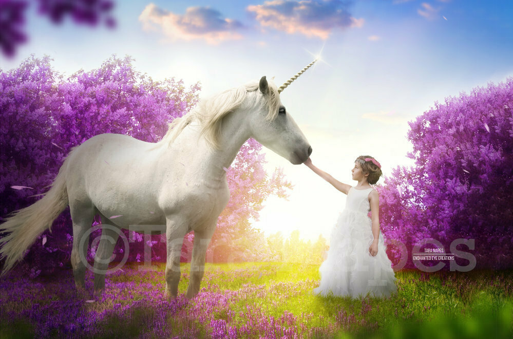 Unicorn in Cherry Blossoms Purple Flowers with Sun Creamy Digital