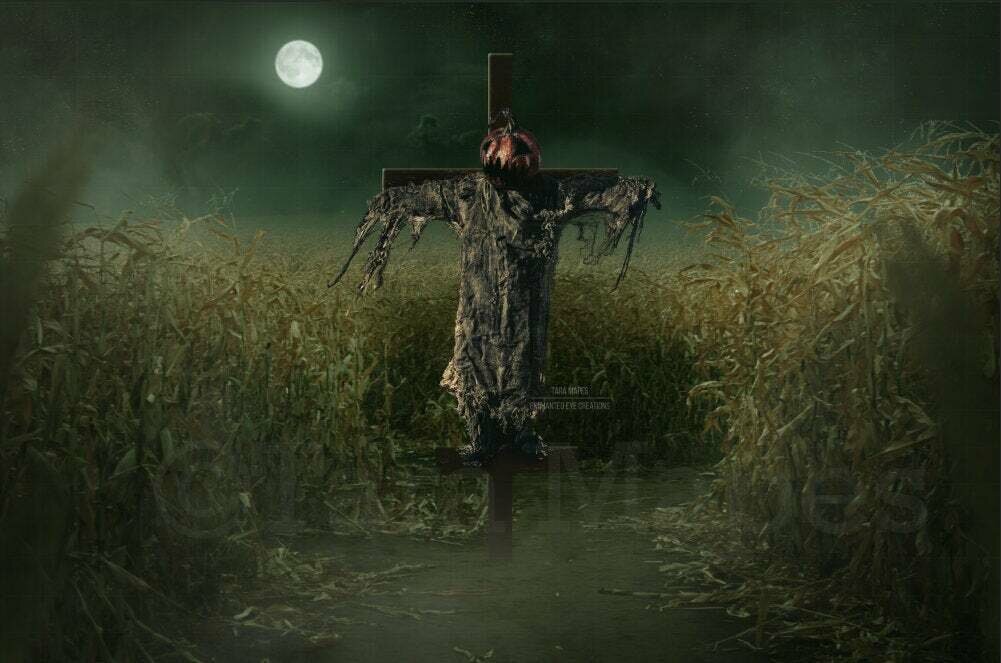 Scarecrow in Cornfield Cornstalks - Field with Cross - Halloween