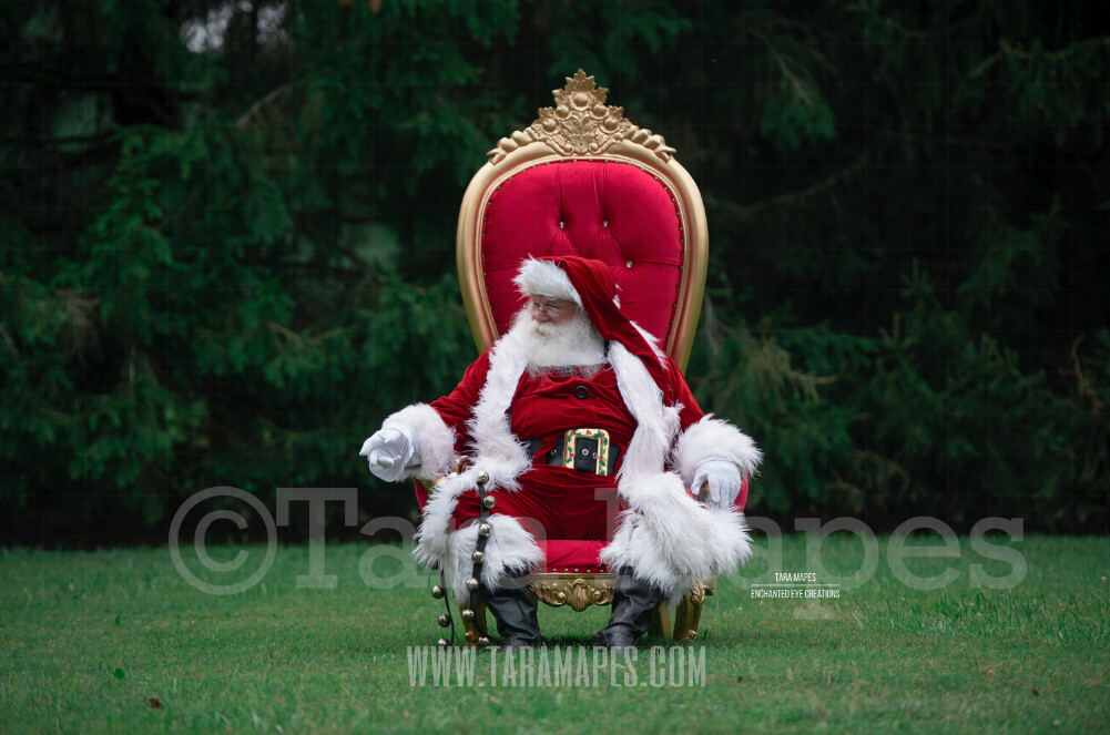 Santa in Throne with Free Snow Overlay - Santa in Christmas Chair by