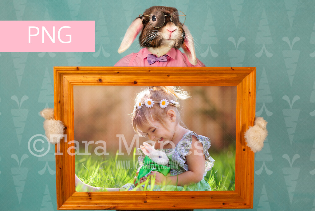 Easter Bunny Frame Colorful Easter Frame Backdrop Fine Art Easter