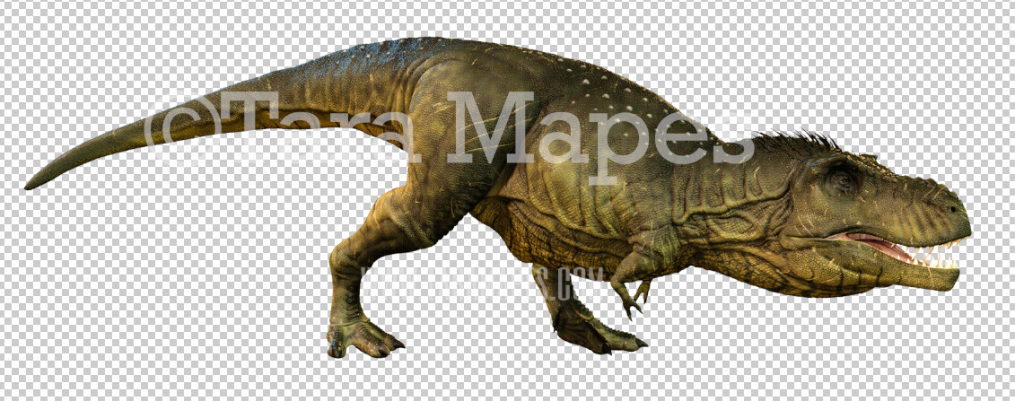 Dinosaur PNG - Funny Dinosaur ClipArt - T Rex Dino PNG - Tyrannosaurus