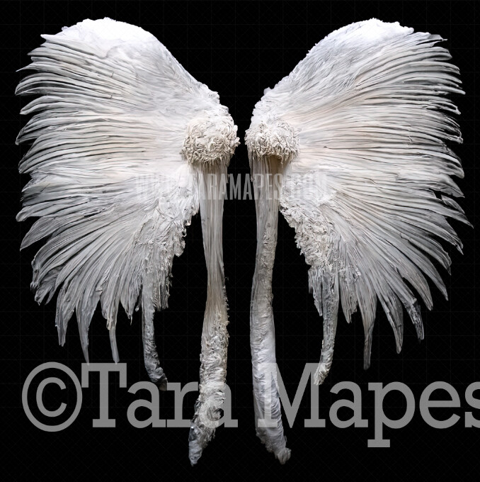 Angel Wings Overlay - White Angel Wings Overlay - White Feather Digital