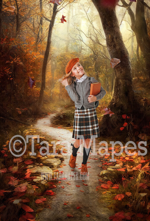 Fall Path Digital Backdrop - Autumn Path in Woods Digital Backdrop ...