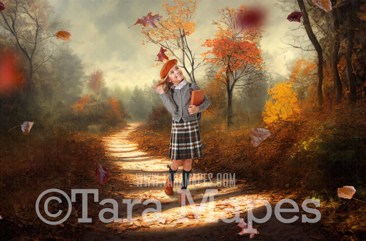 Fall Path Digital Backdrop - Autumn Path in Woods Digital Backdrop ...