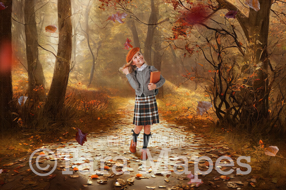 Fall Path Digital Backdrop - Autumn Path in Woods Digital Backdrop ...