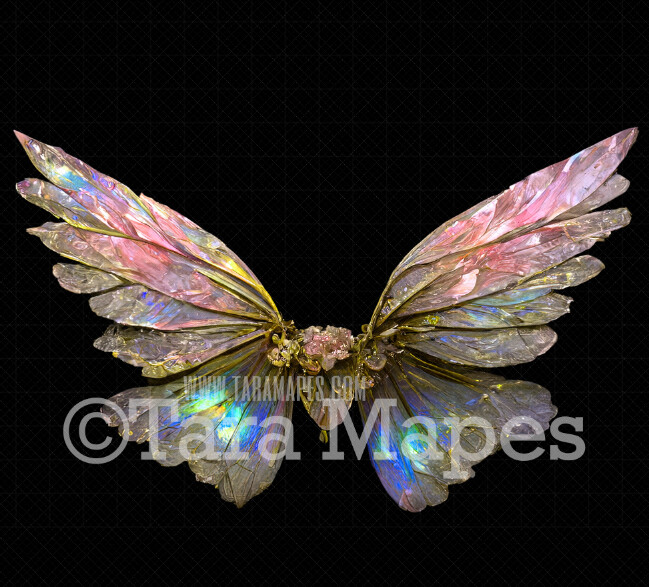 Fairy Wing Overlay Fairy Wing Overlay Digital Wings Glitter