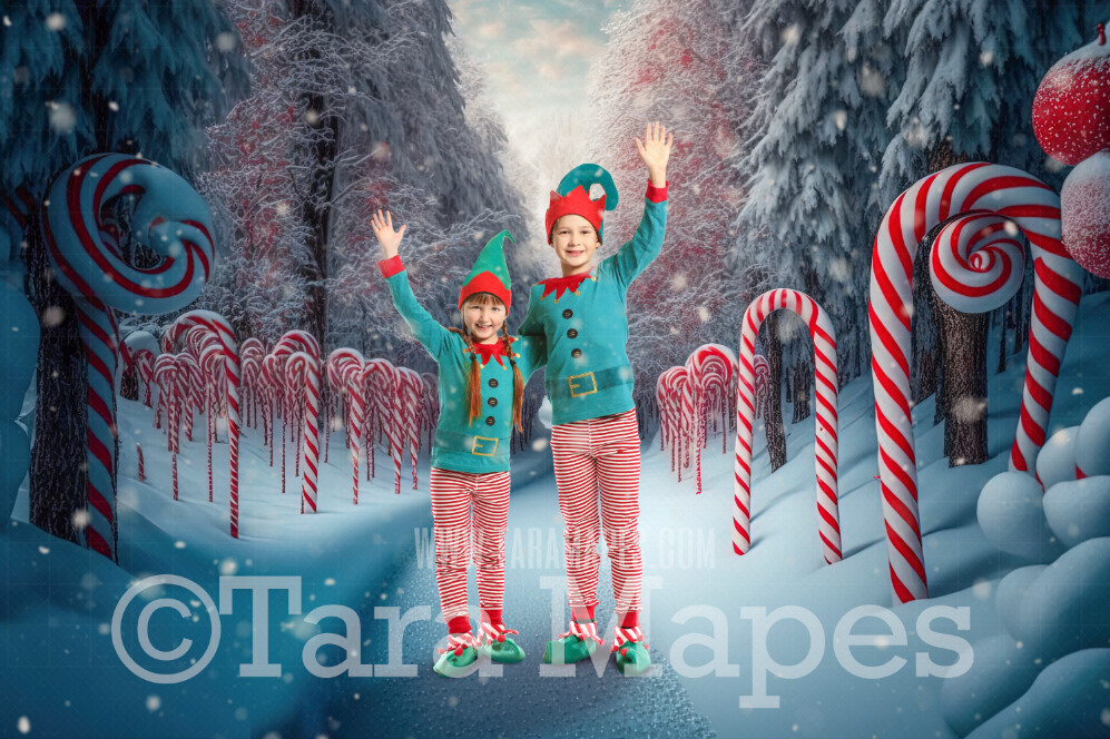 Candy Cane Forest Digital Backdrop Peppermint Candy Forest Candy