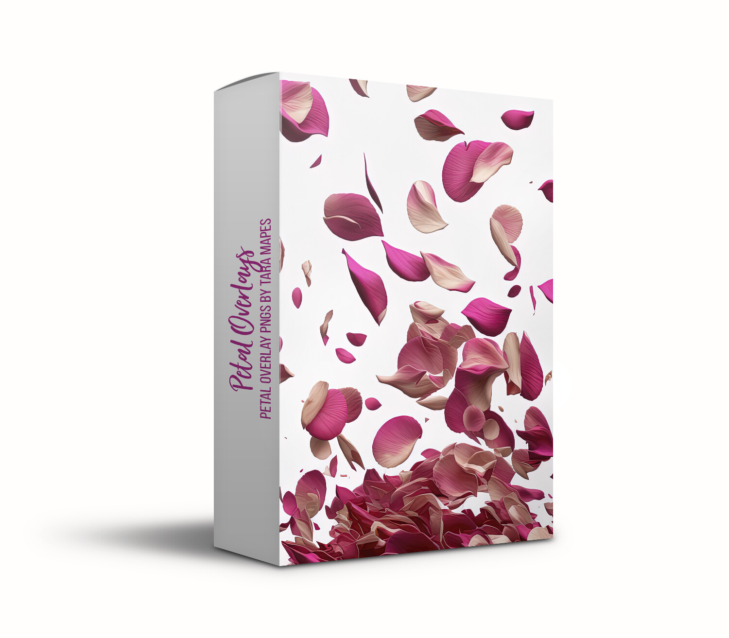 Rose Petal Overlays - Flower Petal Overlays - Petal PNGS