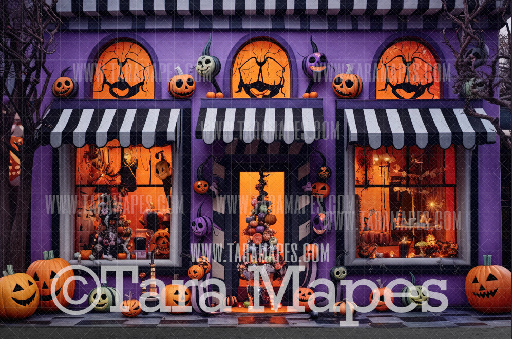 Christmas Shoppe in Christmas Town Holiday Christmas Street