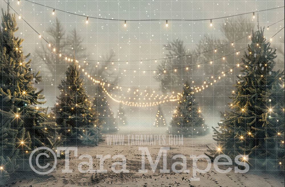 Christmas Tree Farm Digital Backdrop - Christmas Digital Background ...