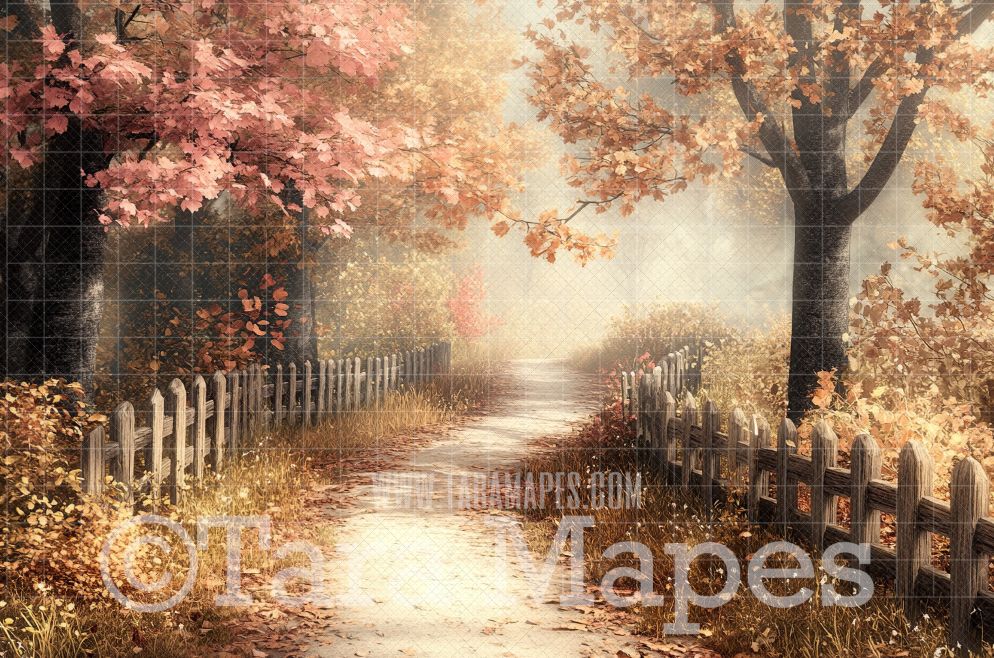Fall Path Digital Backdrop - Autumn Path in Woods Digital Backdrop ...