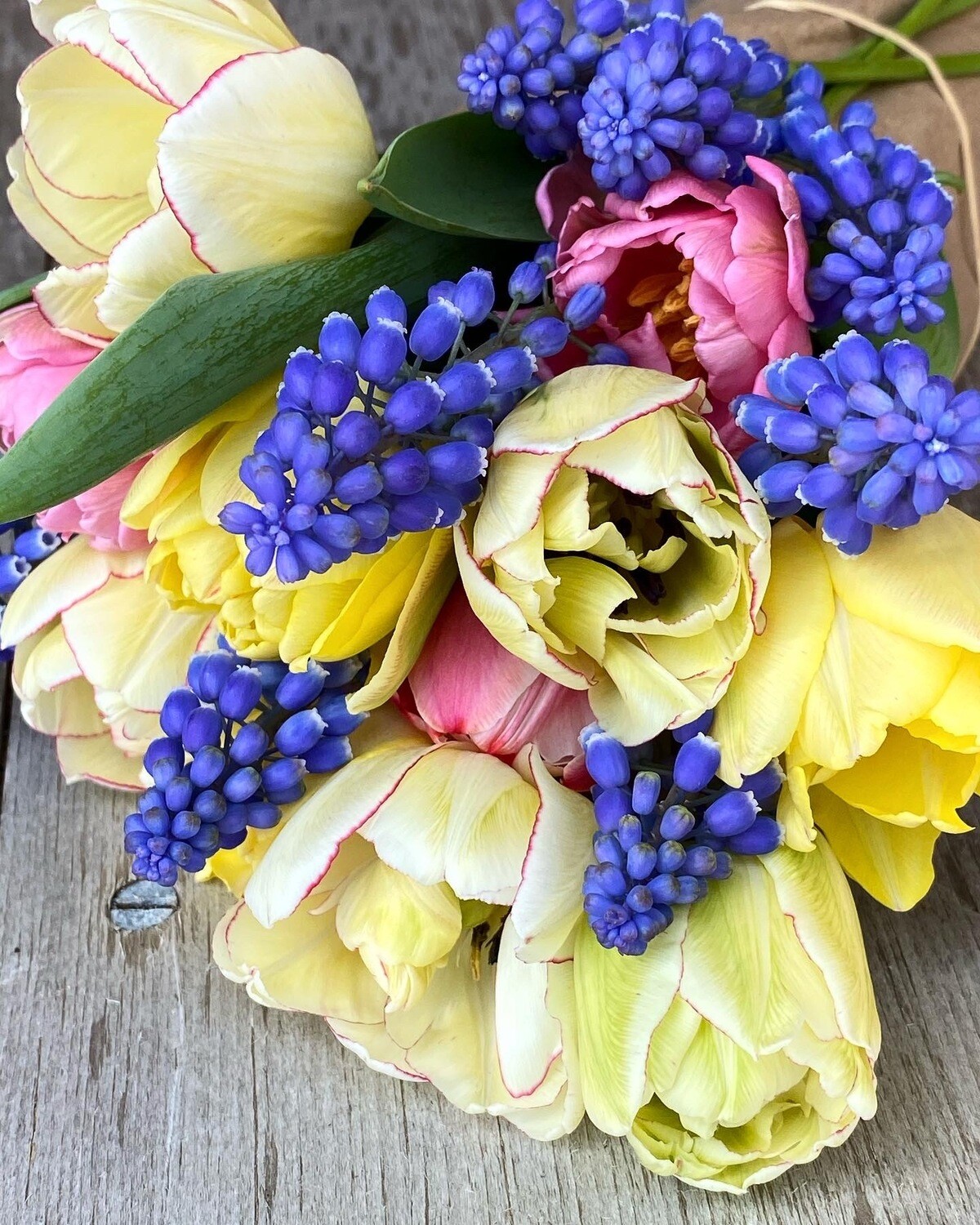 Pre Order Mixed Tulip Bouquets