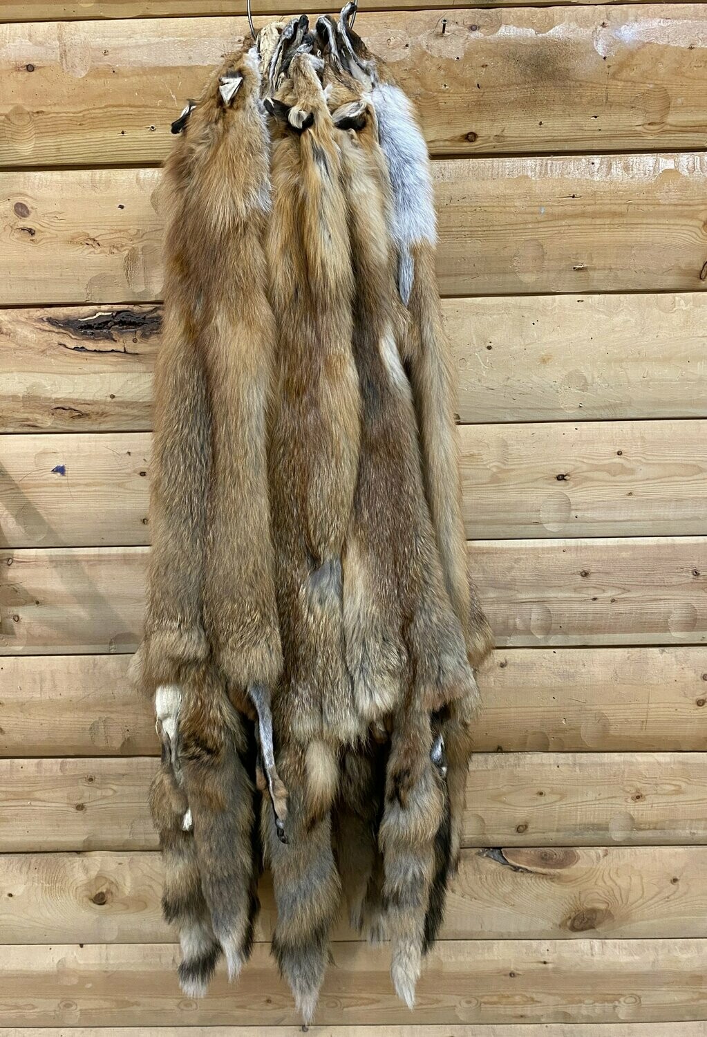 Red Fox Fur