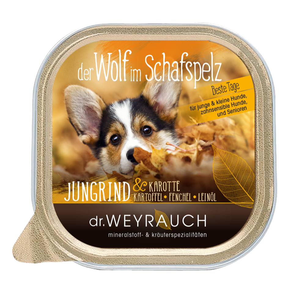 Der Wolf im Schafspelz 
