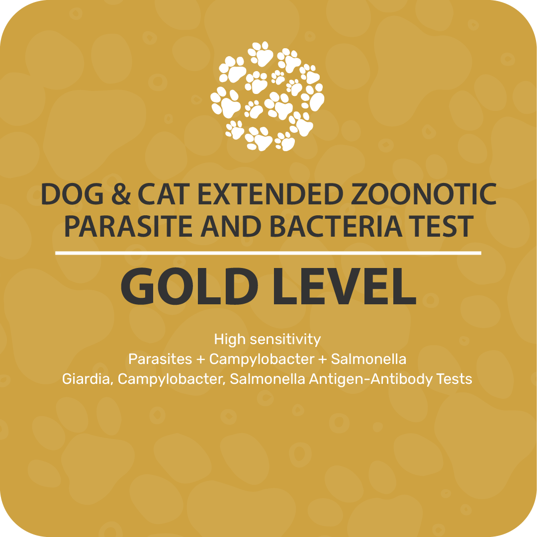 Dog and Cat Extended Zoonotic Parasite Bacteria Test