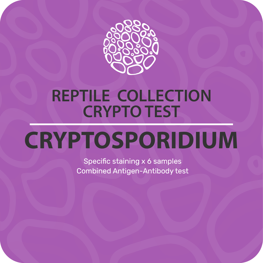 Reptile Collection Crypto Test