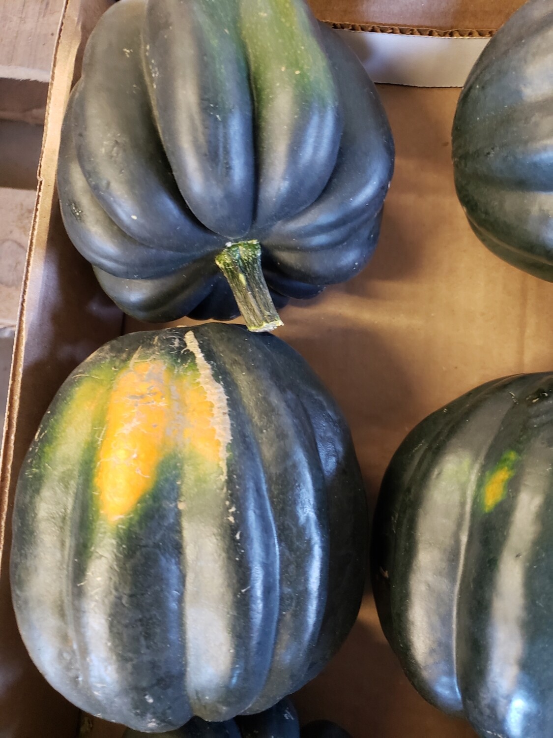 Vegetables, Acorn Squash