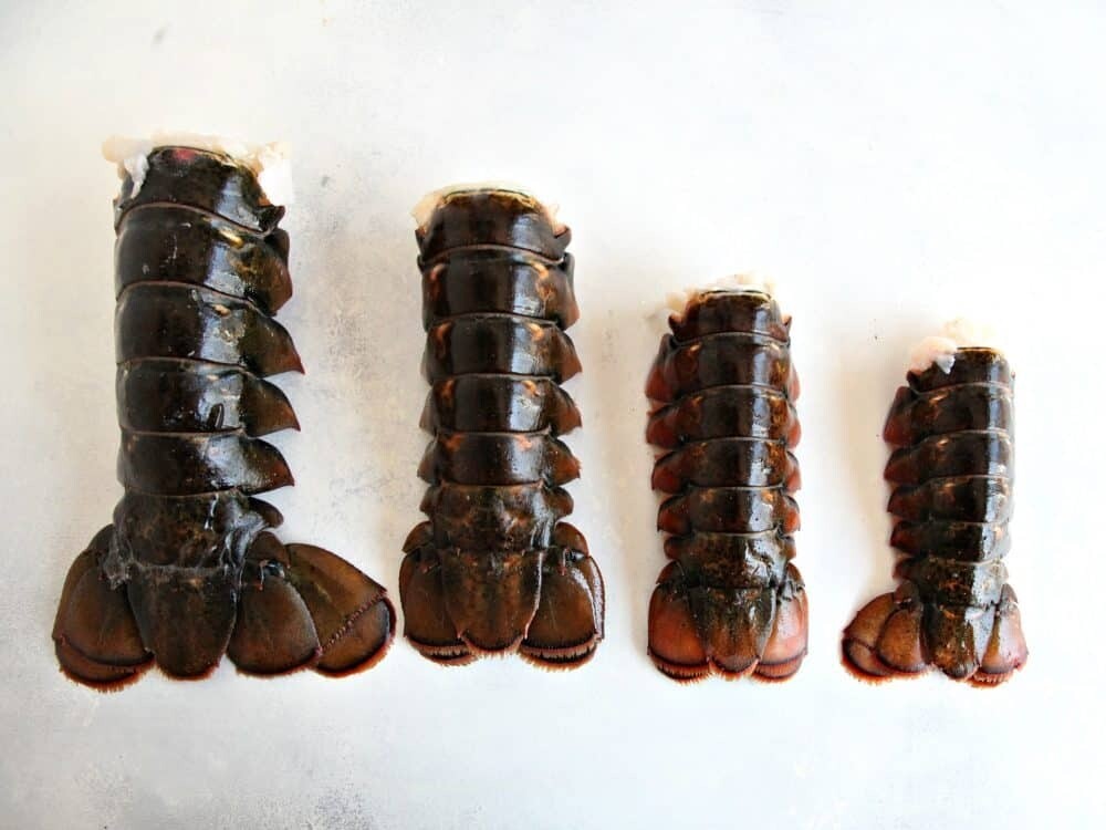 16- 26oz Maine Cold Water Lobster Tails