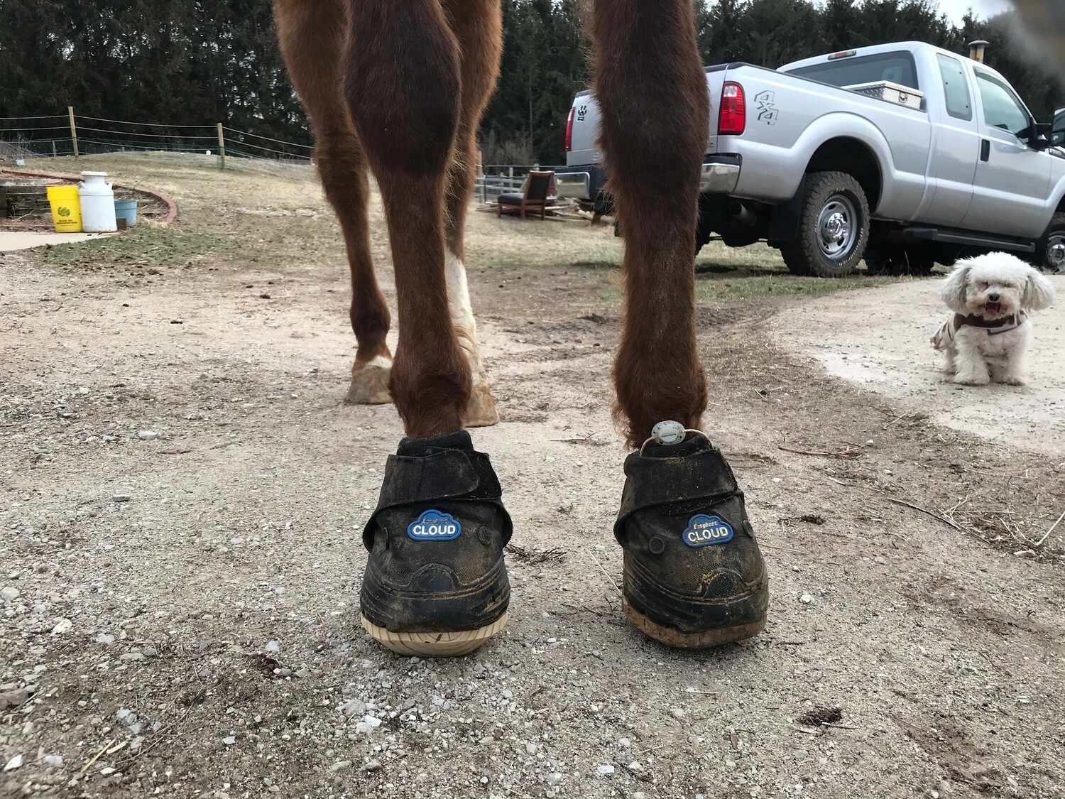 CLOG BOTTOMS FOR HORSE BOOTS