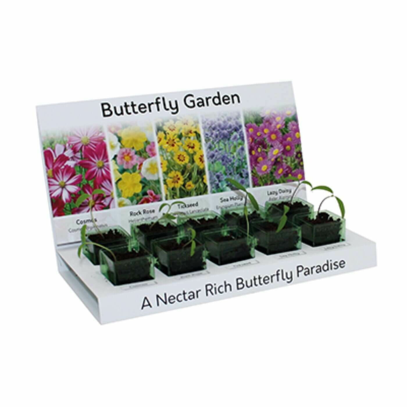 Butterfly Garden EcoGrow Kit