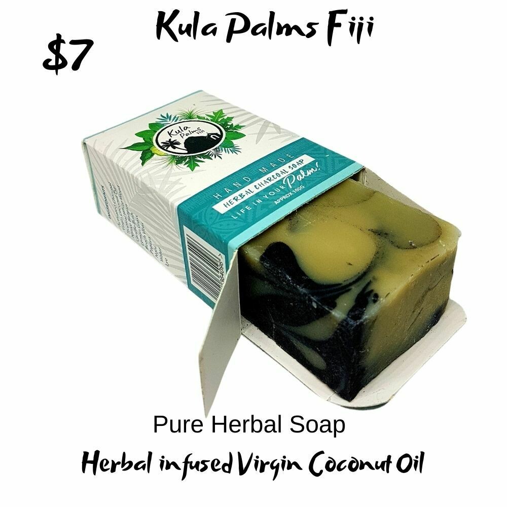 Herbal Charcoal Soap Infused with Coconut Oil Organic Skincare