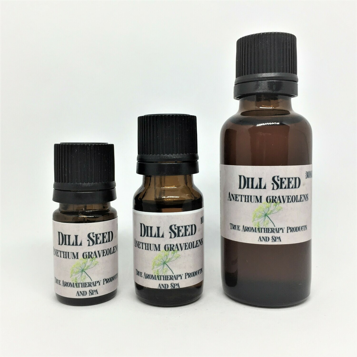 Dill Seed Our Natural Products TAP
