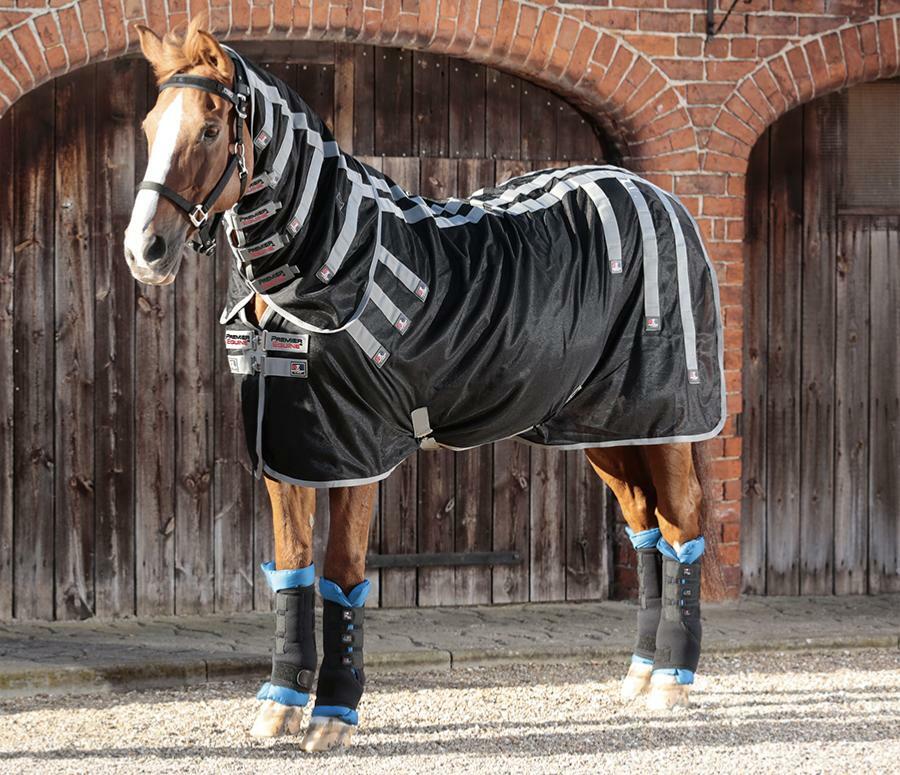 premier equine magnetic fetlock boots