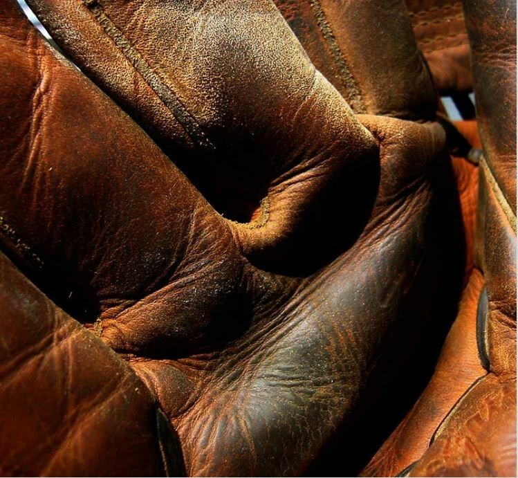 Leather Donkey Milk Soap
