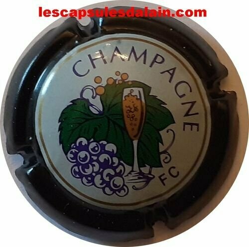 CAPSULE CHAMPAGNE GENERIQUE REF N°602