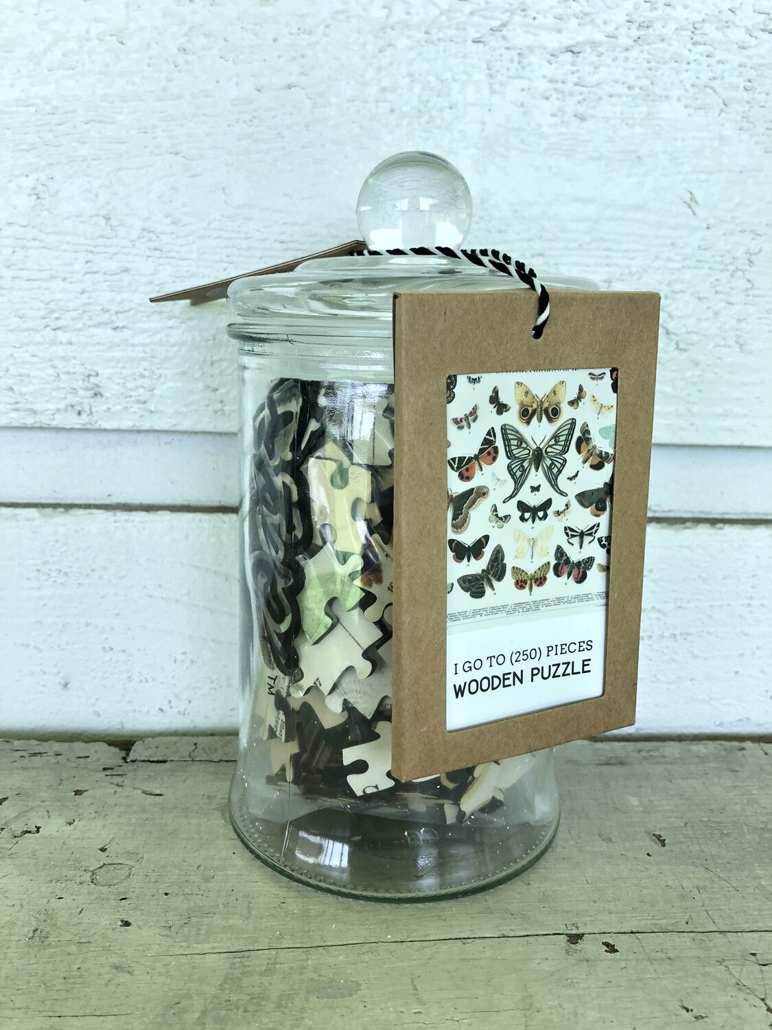 Butterflies + Moths In Glass Jar