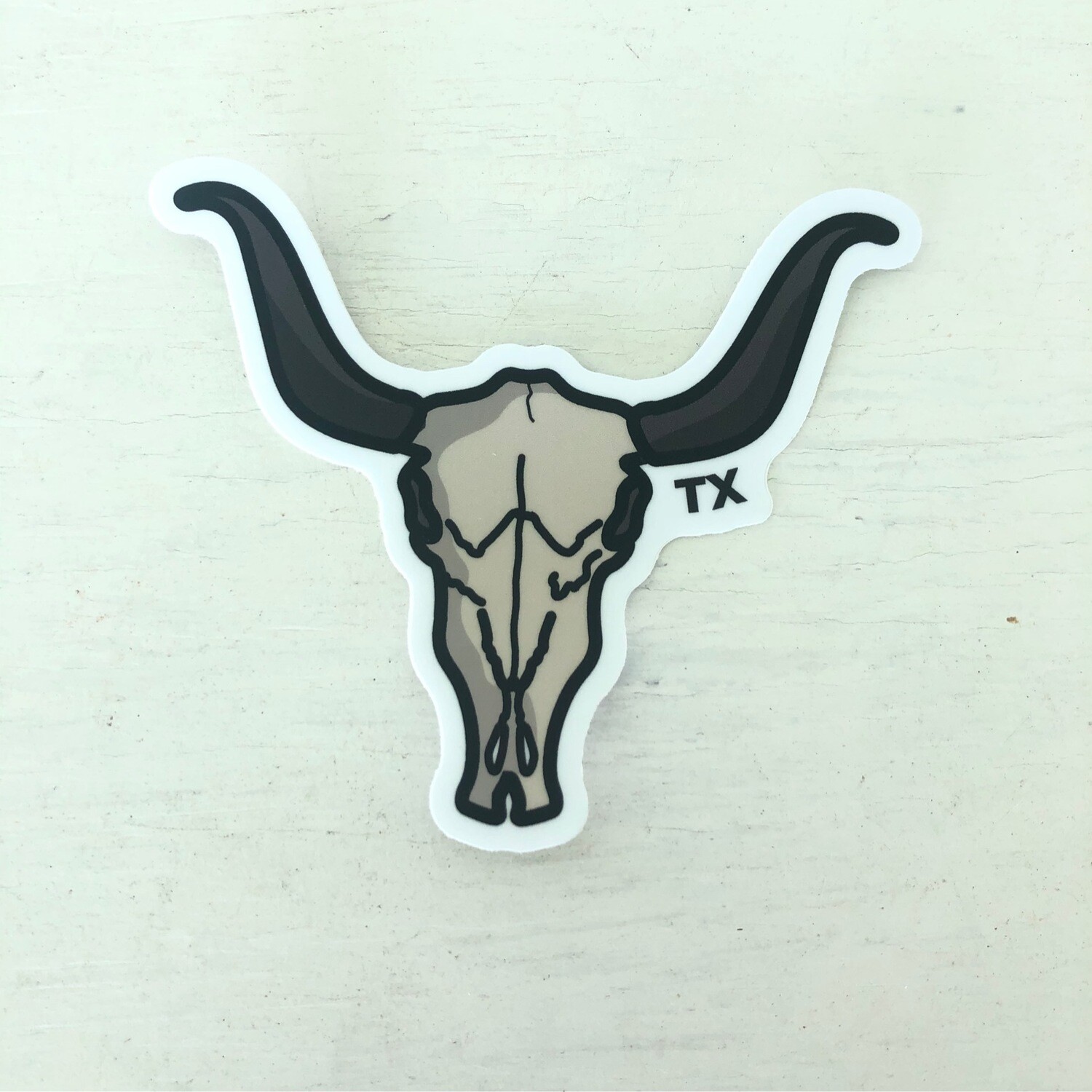 Longhorn Skull
