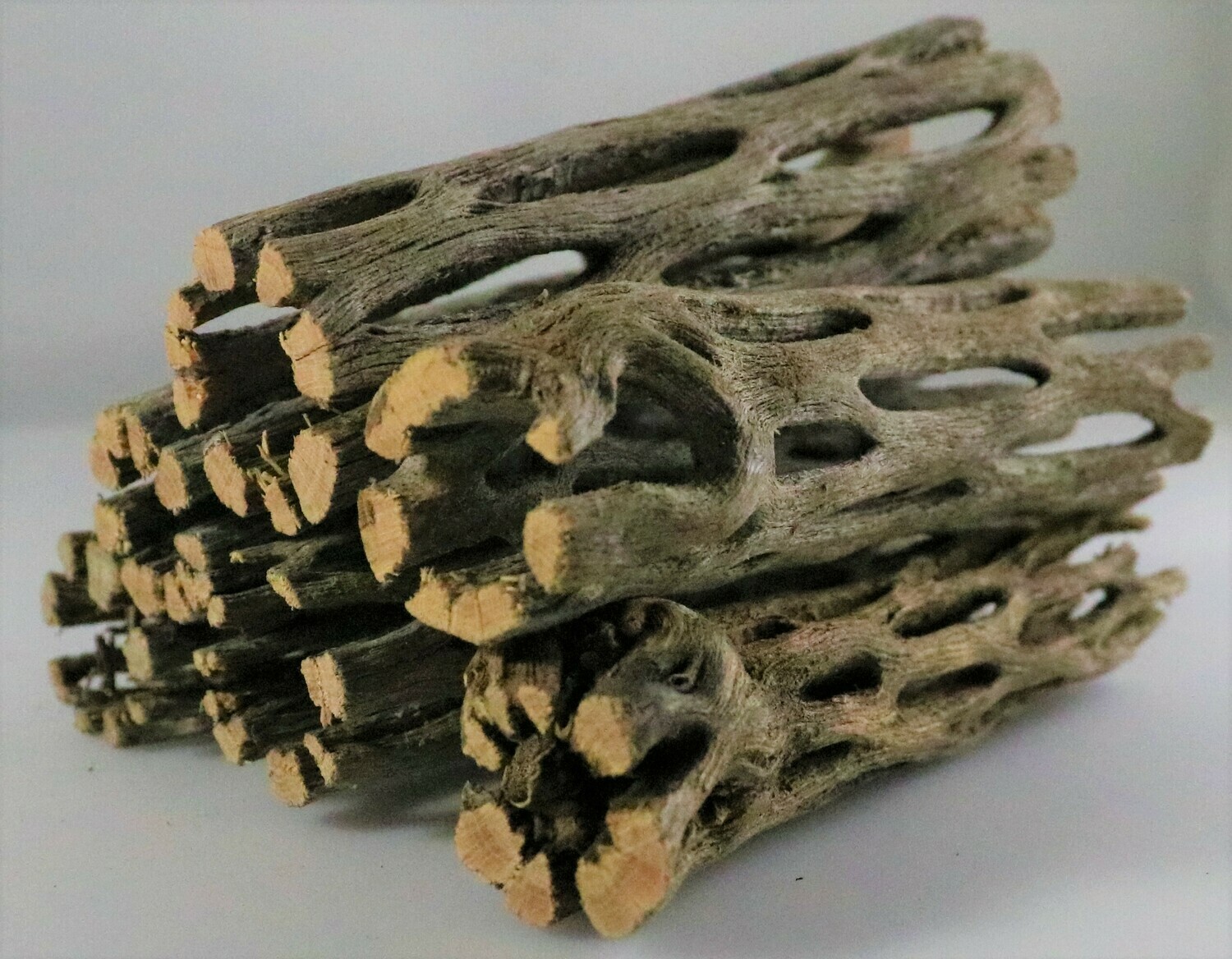 Cholla Wood 3 Inch