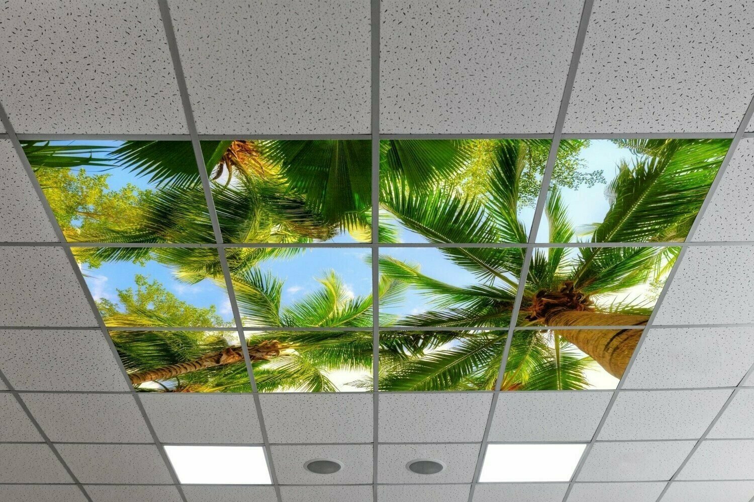 SKY TROPICAL TREES LED CEILING PANELS