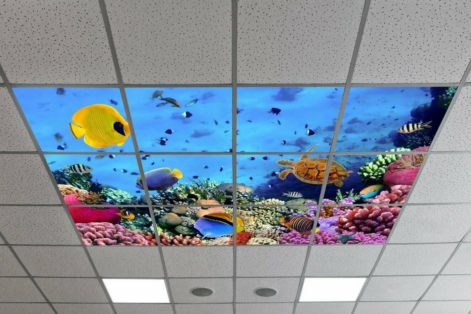 UNDERWATER LED CEILING PANELS