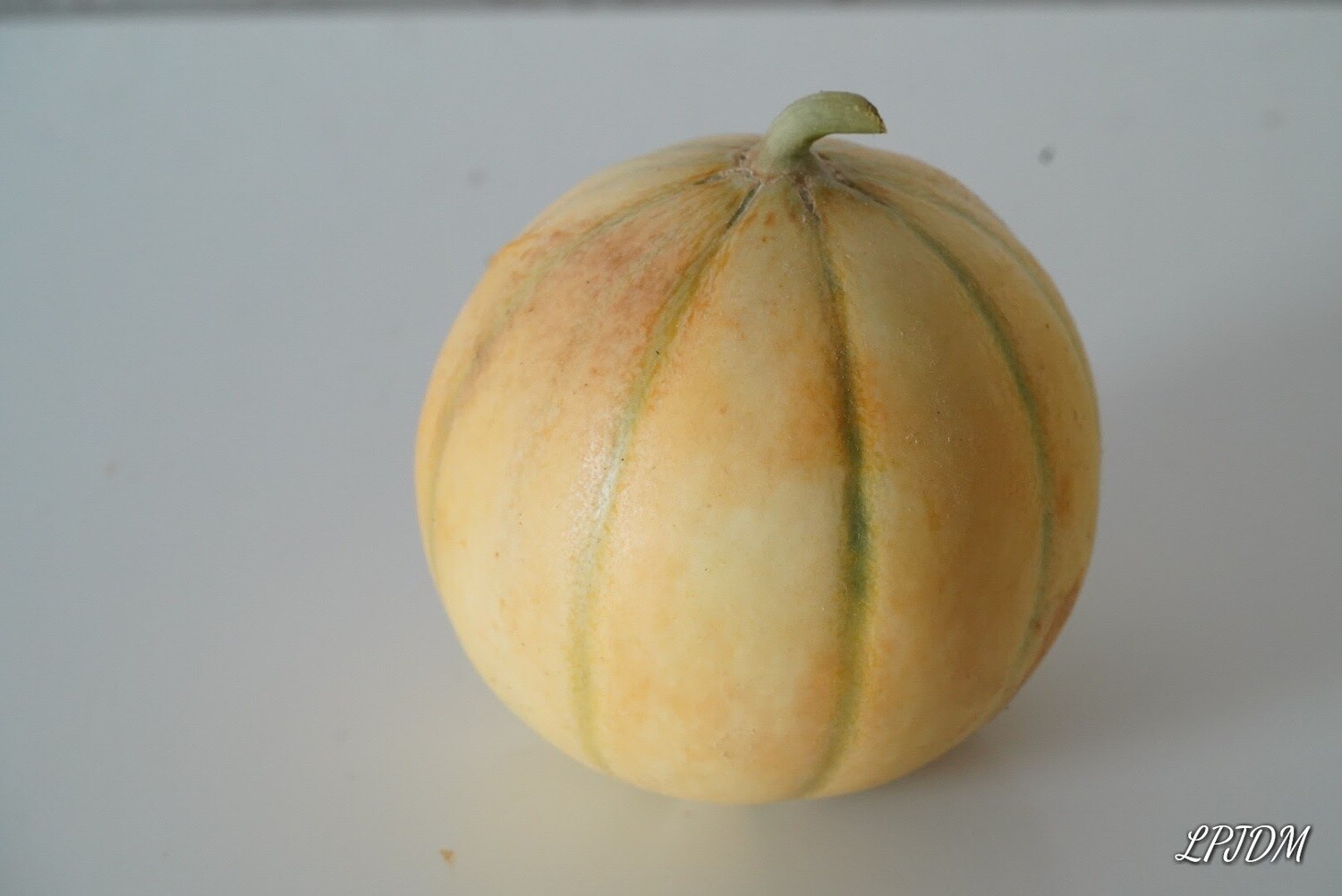 Melon charentais bio (kg)