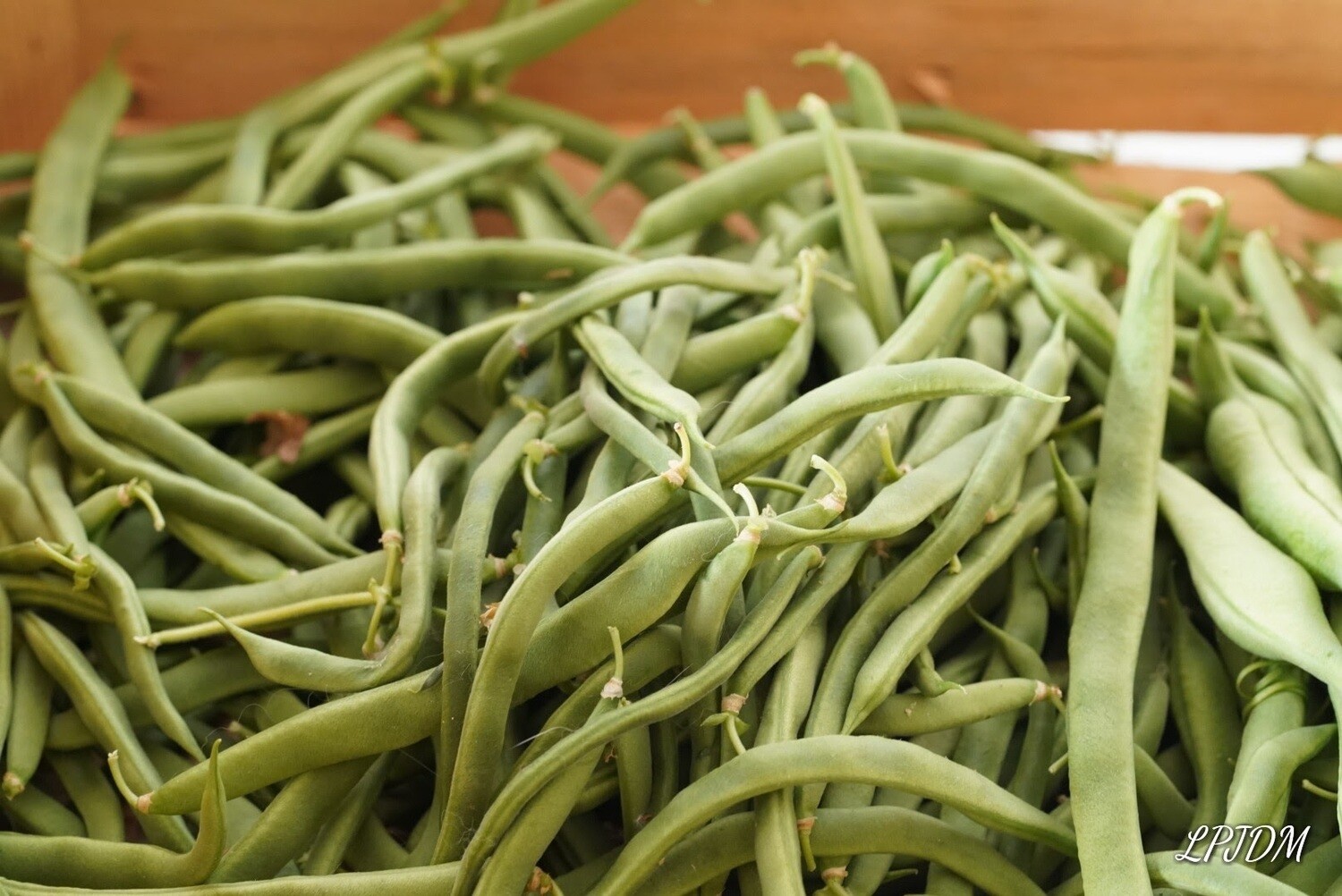 Rendement Haricot Vert Par Hectare En Côte D'ivoire