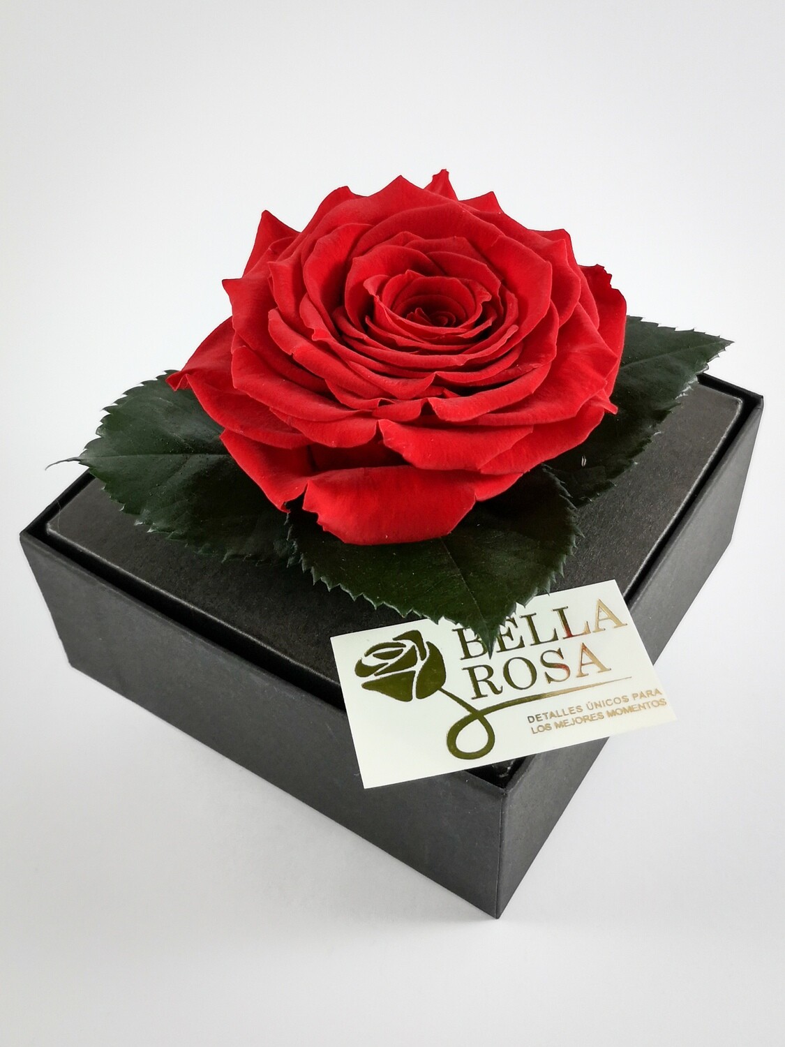 Rosa Preservada Roja Caja Acrílica