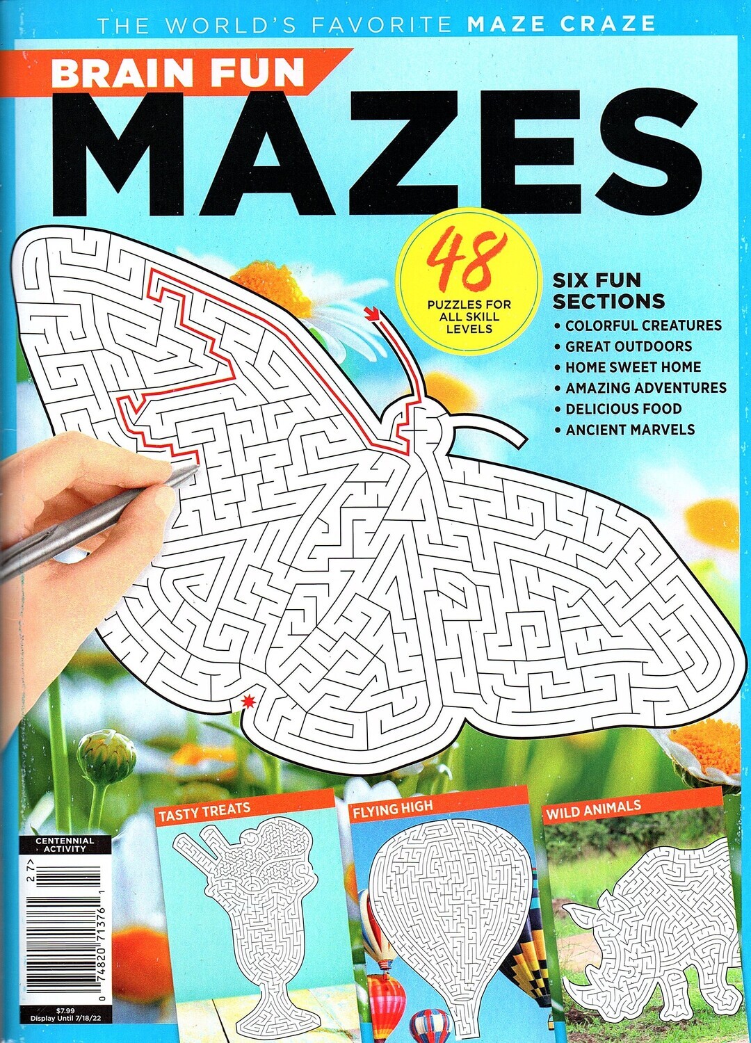 Brain Fun Mazes World's Favorite Maze Craze