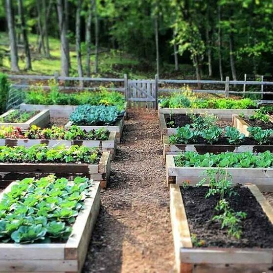 How to Build a 4' x 8' Raised Bed