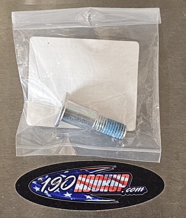 SUZUKI OEM BOLT,CAM CHAIN TENSIONER/GUIDE HAYABUSA (9907) GSXR1000 (0106)