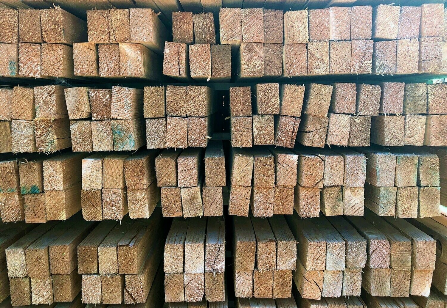 Latten 40 x 60 mm unbehandelt, technisch getrocknet