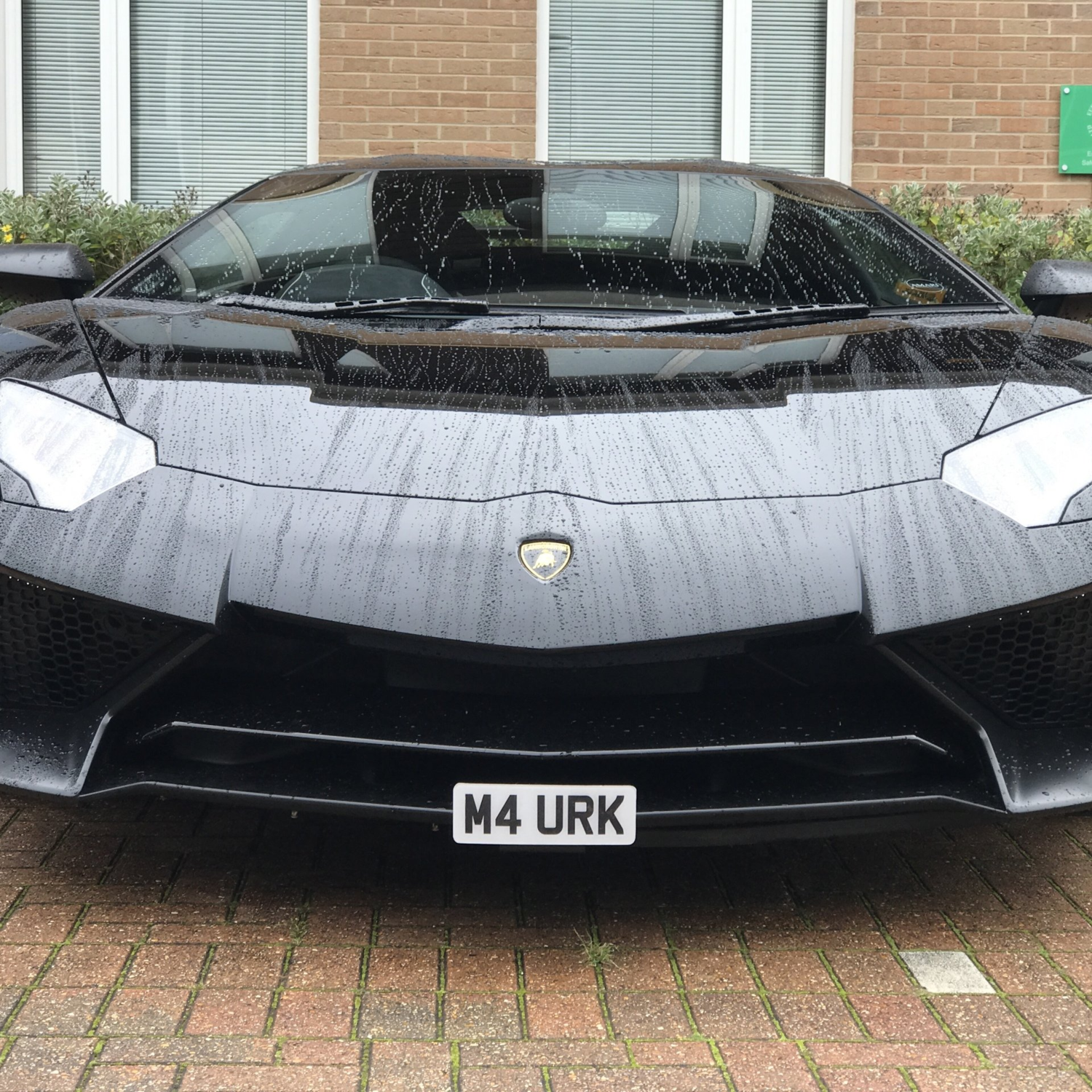 front license plate mounts