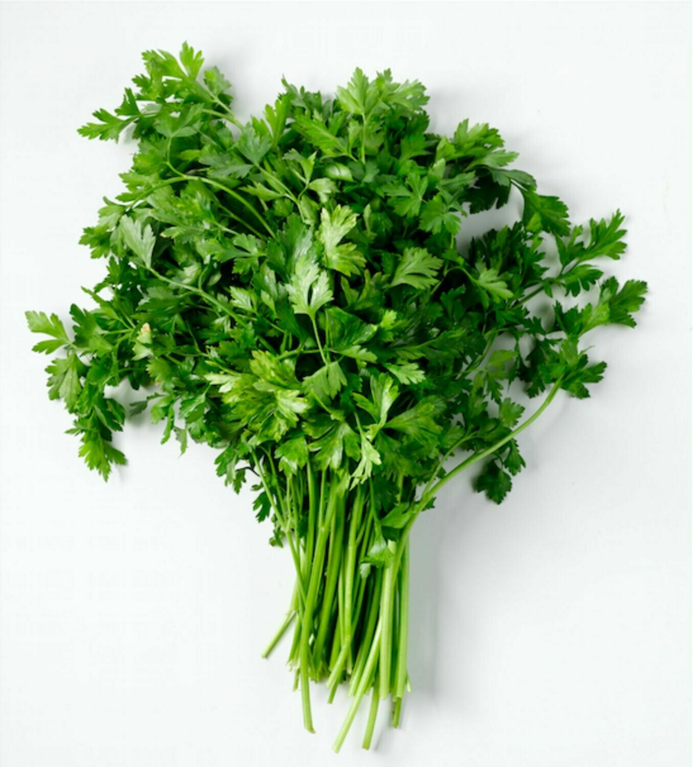 Parsley 100G