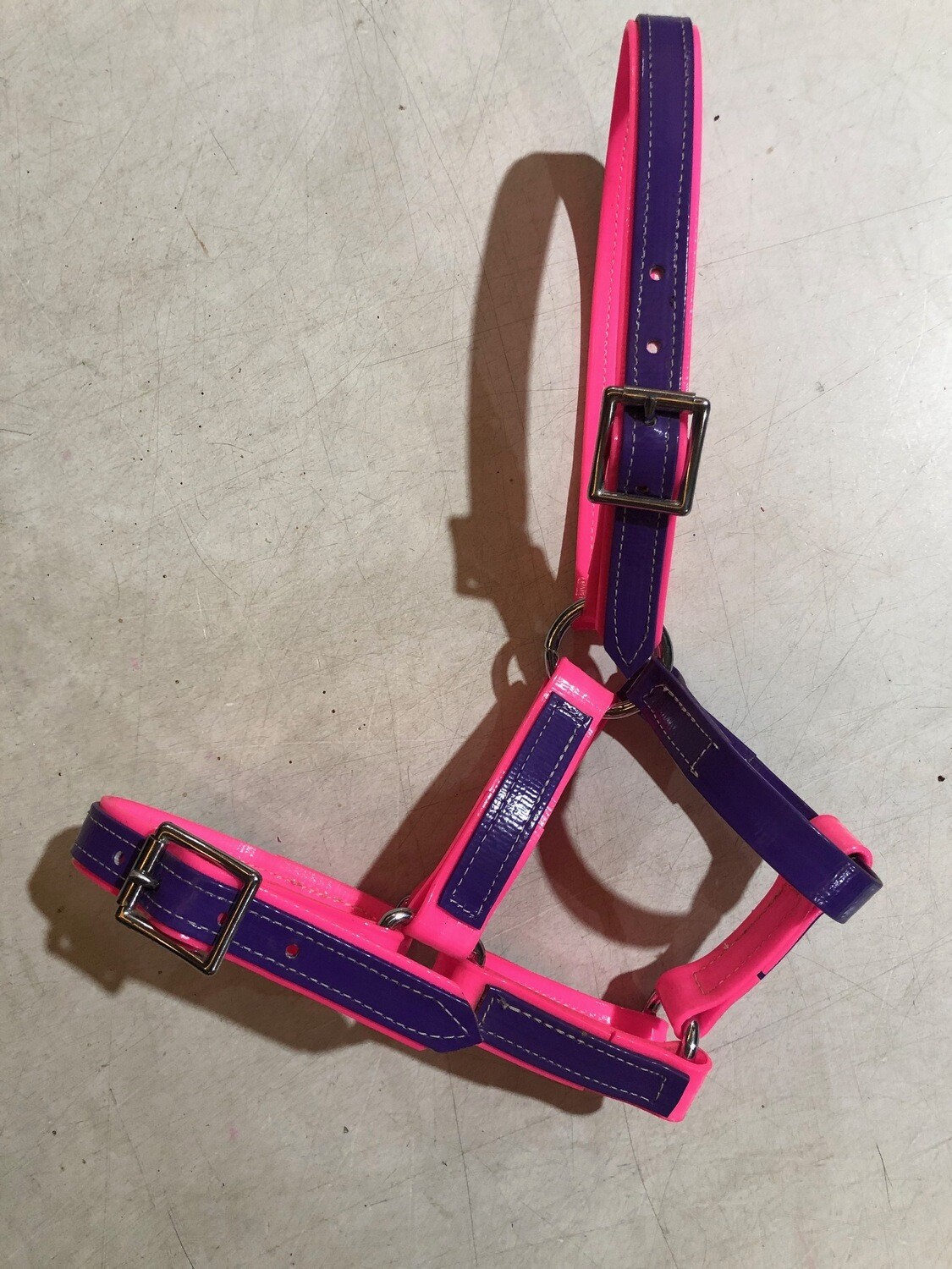 PVC Halter Pony